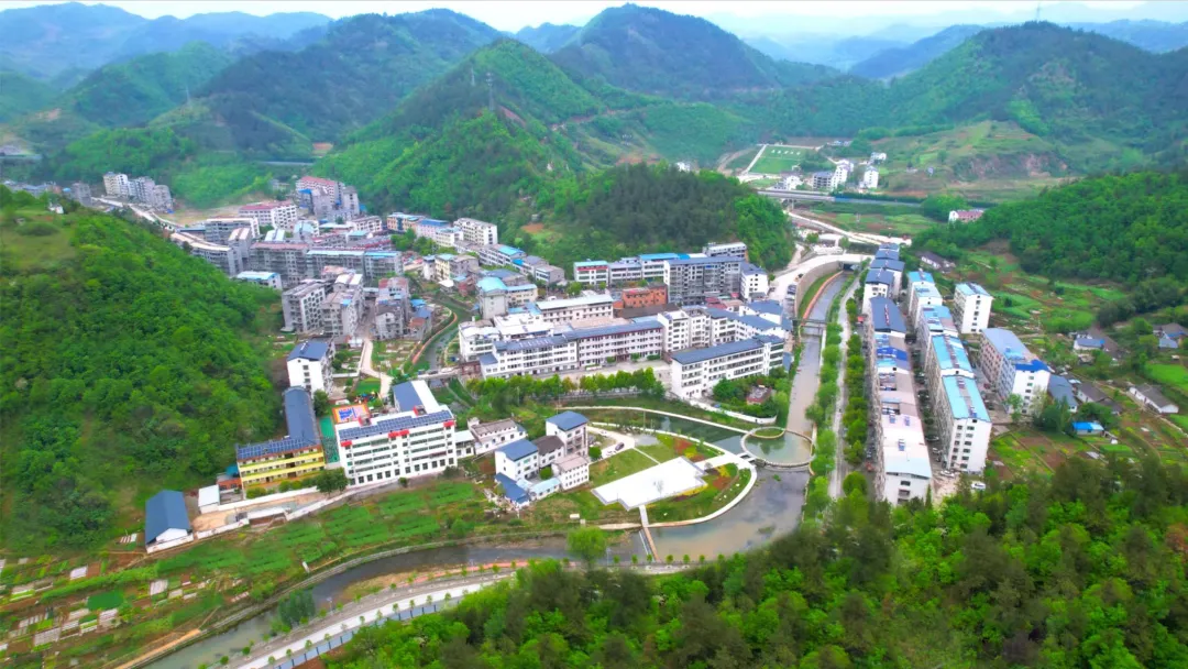图片15.png